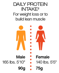 daily_protein_diagram